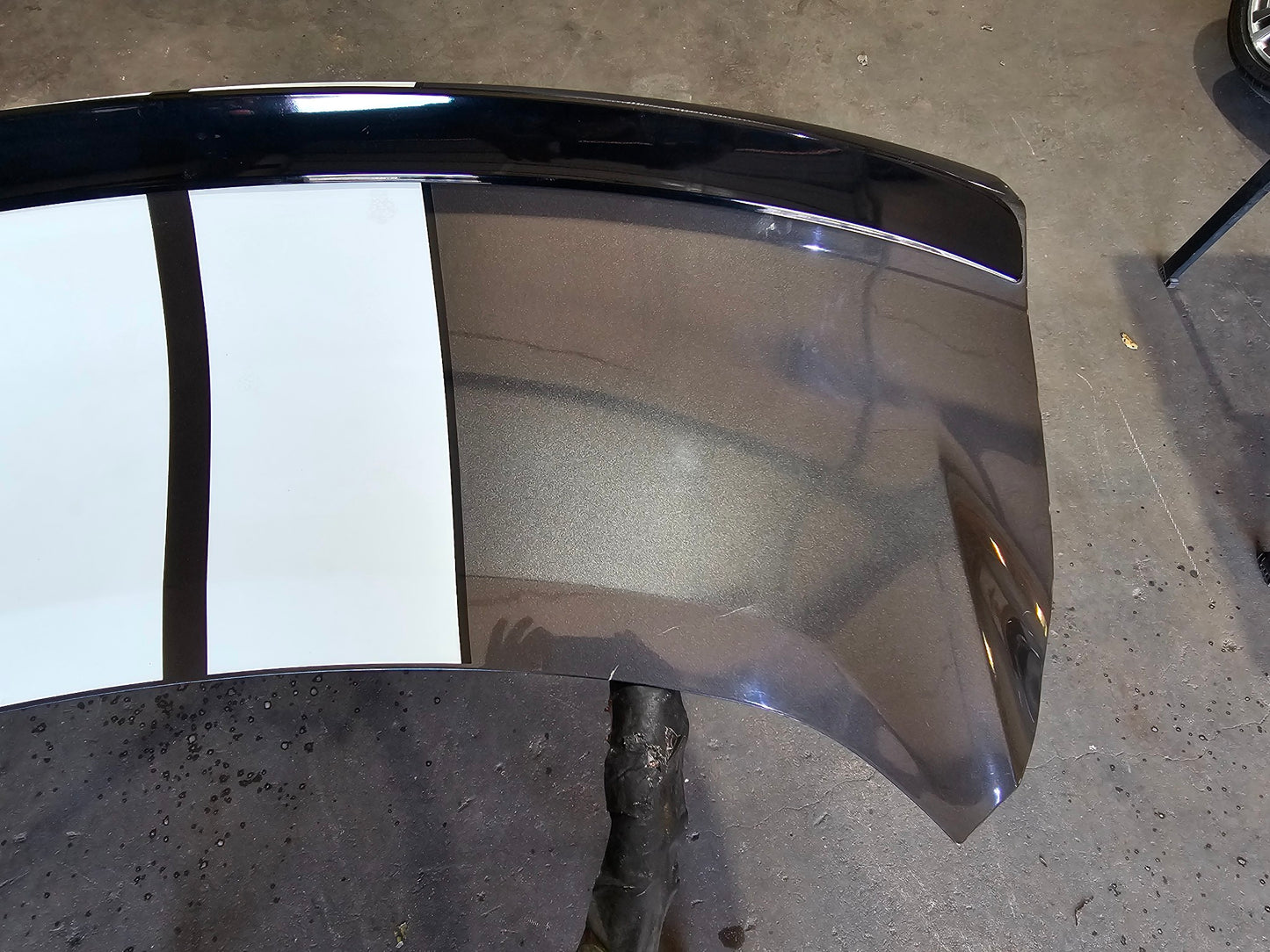 2015-2020 FORD MUSTANG TRUNK SPOILER  WING GT ECOBOOST BLACK #4122