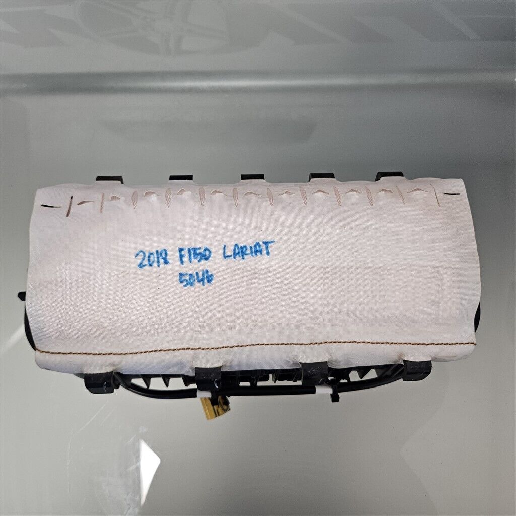 2018 2019 2020 Ford F-150 right PASSENGER JL3B-R699D82-AC AIR BAG